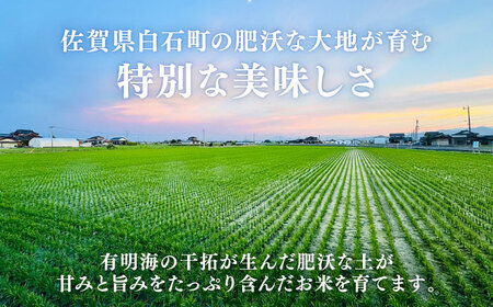 【佐賀県白石産】夢しずく 5kg【ちわたのふぁーむ】[IDE003]