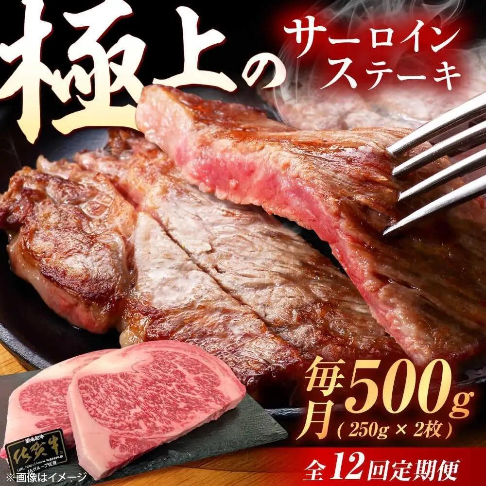 【12回定期便】 佐賀牛 サーロインステーキ 500g サーロイン [UEM023]