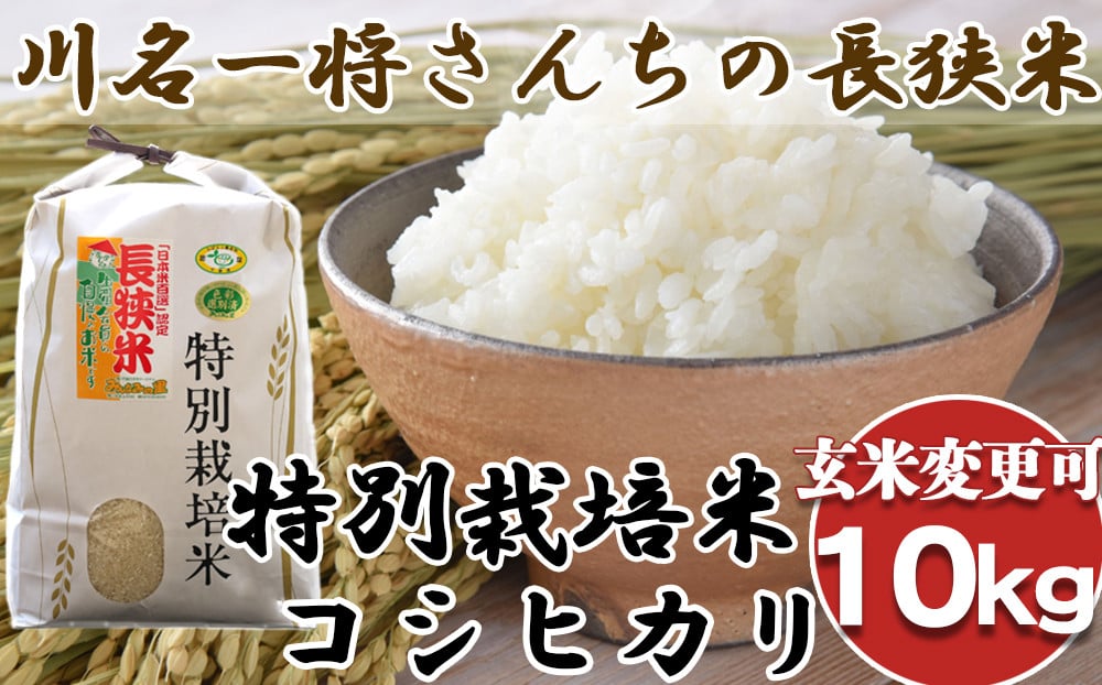 
            【千葉県知事賞受賞】川名一将さんちの長狭米 特別栽培米コシヒカリ10kg 精米・玄米選択可能 [0024-0010]
          