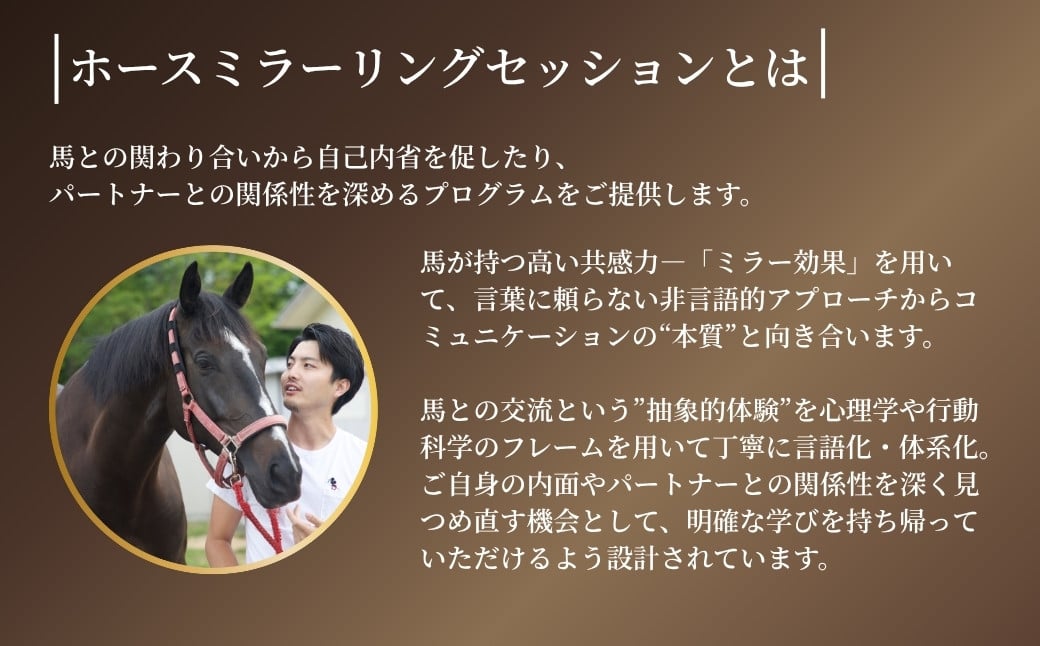 ホースミラーリングセッション  1名様