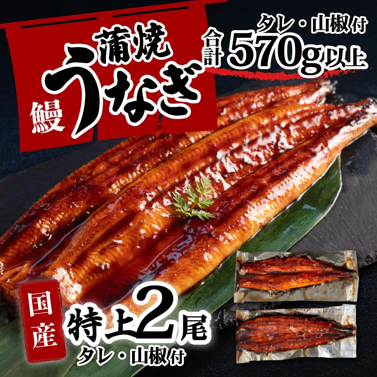 うなぎ 国産 特上 ウなぎ 蒲焼き 2尾 570g ウナギ 