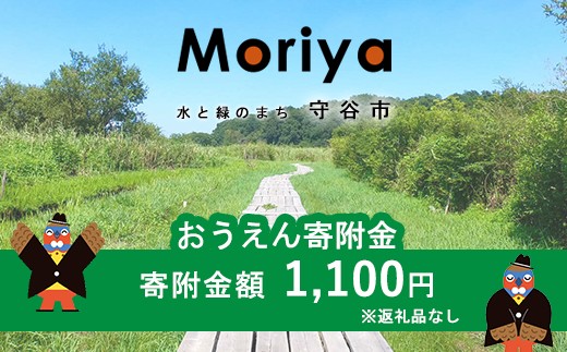 茨城県 守谷市 おうえん寄附金（寄附金額：1,100円）返礼品なし