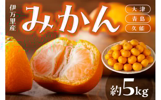 伊万里産 みかん 5kg（大津・青島・久能） 柑橘類 003-B961