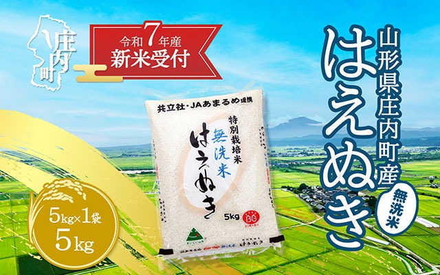 【新米受付 10月発送】R7年産 特別栽培米 はえぬき無洗米 5kg（入金期限：2025.9.15）