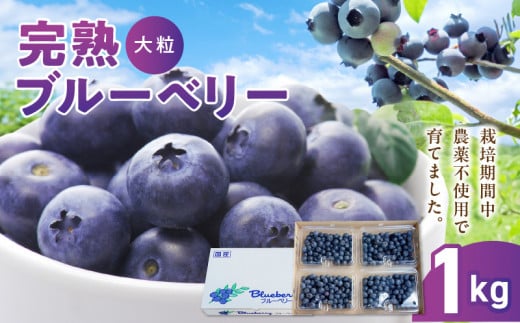 126-04　 amitsu farm　無農薬栽培の完熟ブルーベリー250ｇ×4			