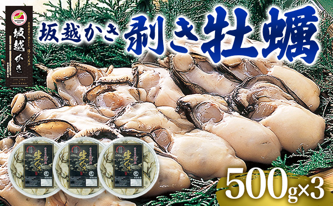  牡蠣 坂越かき 剥き牡蠣 500g×3[ 生牡蠣 かき カキ むき身 剥き身 生食 冬牡蠣 ] 魚貝類 魚介類 