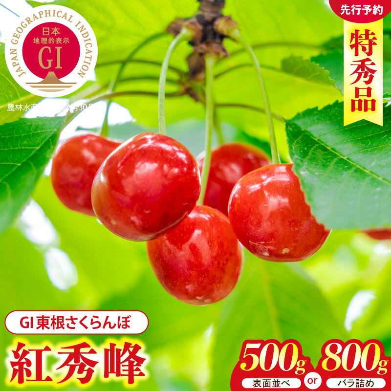 【ふるさと納税】【2027年産】GI東根 さくらんぼ 紅秀峰 ( 500g 表面並べ / 800g バラ詰め ) L以上 特秀品 | フルーツ 果物 くだもの サクランボ チェリー 小分け 箱入り 化粧箱 期間限定 冷蔵配送 大容量 ご当地 特産 産地 お取り寄せグルメ 東北 山形県 東根市