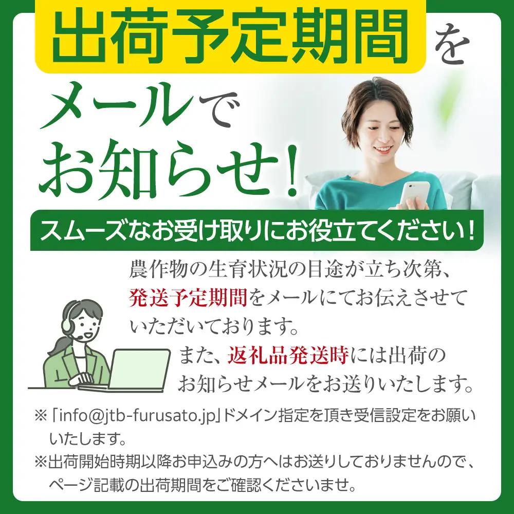 高評価★5.0【先行予約】あさひやま動物園しろくまコーン4kg(ホワイトレディ10本)2026年8月下旬から発送開始 | とうもろこし 北海道産とうもろこし _00308