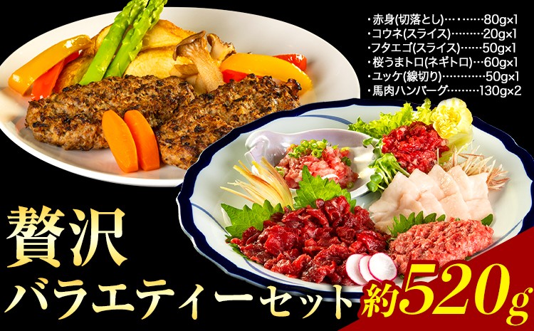 
                  贅沢バラエティセット 520g 馬肉 冷凍 《60日以内に出荷予定(土日祝除く)》 新鮮 さばきたて 生食用 肉 熊本県葦北郡津奈木町 馬刺し 馬肉 惣菜 希少部位
                