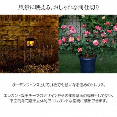 ふるさと納税 海南市 デザイントレリス 885 4枚組　36442800 |  | 03