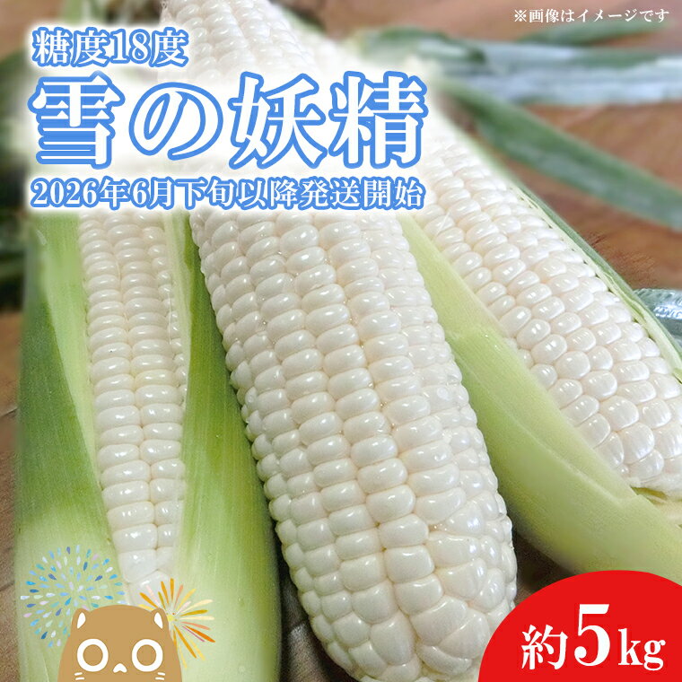 【ふるさと納税】【先行予約】【2026年6月下旬以降発送開始！】糖度18度前後 白い とうもろこし 「雪の妖精」 約 5kg 入り ｜茨城 野菜 トウモロコシ 1000セット 限定