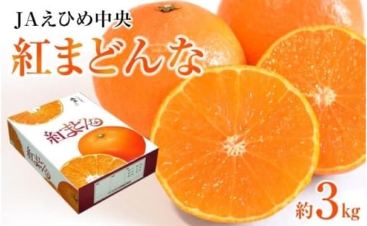 【先行予約】【2025年12月上旬から順次発送】JAえひめ中央【紅まどんな】化粧箱1箱 3kg 愛媛 みかん 紅マドンナ 紅まどんな 蜜柑 柑橘 果物 贈答 愛媛のみかん くだもの フルーツ 愛媛県 松山市