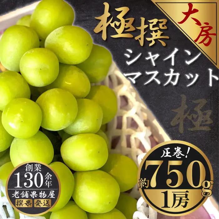 極撰！大房シャインマスカット　 1房(約750g)
