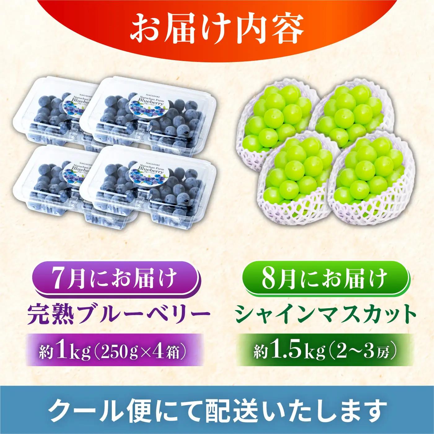 フルーツ2回定期便（ブルーベリー 約1kg・シャインマスカット 約1.5kg） 大村市 おおむら夢ファームシュシュ/ ブルーベリー ぶるーべりー ぶどう ブドウ 葡萄 フルーツ定期便 シャインマスカッ