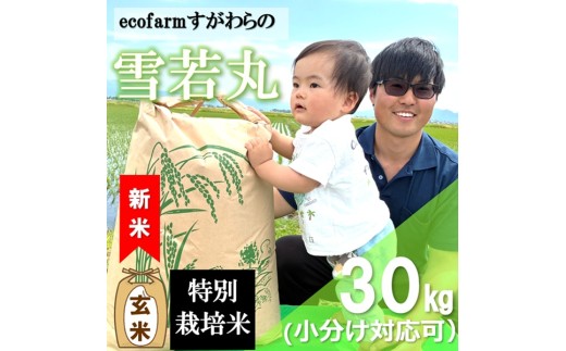 【令和8年産・玄米】ecofarmすがわらの特別栽培米雪若丸30kg ※10月上旬頃から順次配送