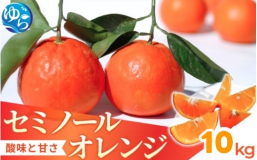 
                  セミノール 10kg /  みかん 晩柑 柑橘 果物 送料無料 産地直送 和歌山県 由良町 ※3月下旬～4月下旬頃に順次発送予定【kzmn016-r-10】
                