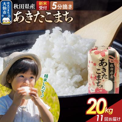 ふるさと納税 大仙市 定期便11ヶ月 5分搗き あきたこまち 20kg 秋田県産 令和8年産|22_kml-052011s