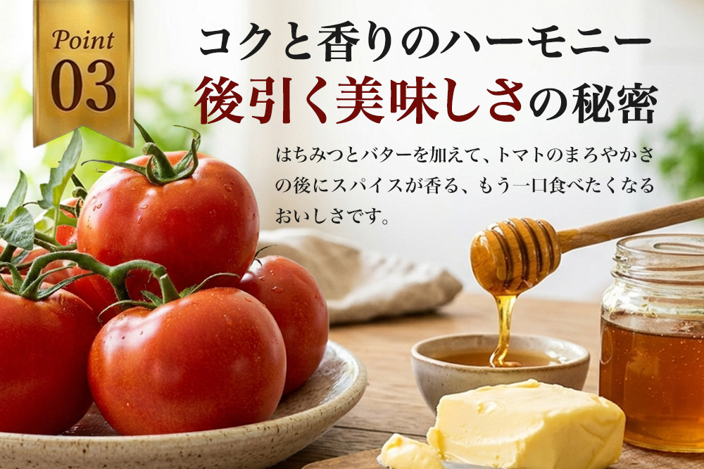 佐賀牛スパイスカレー180g×10個【佐賀牛たっぷり 赤身と脂肪のバランスがよいスネをひき肉使用 トマトベース8種のスパイス ルーに佐賀牛の旨味】K084003
