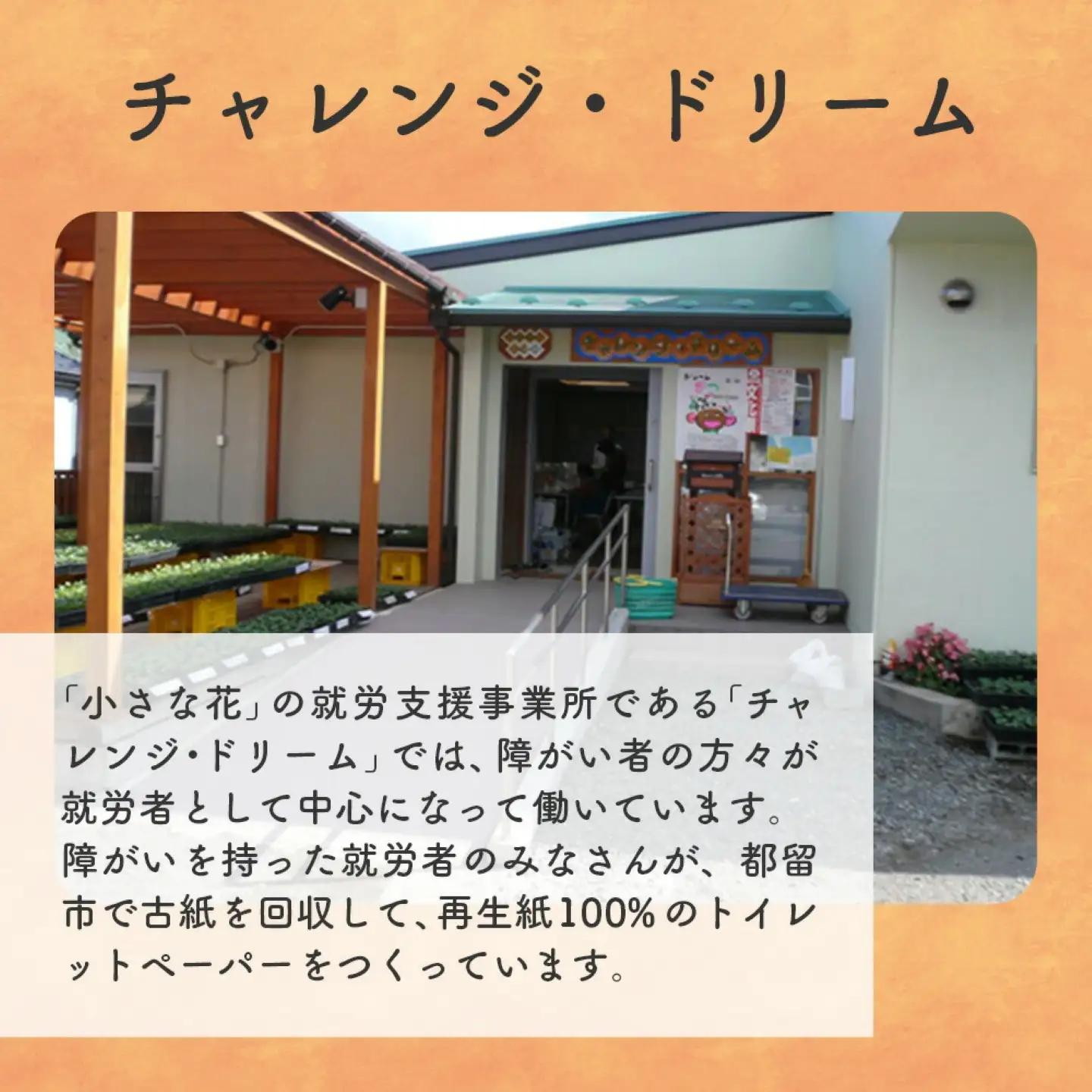 【ダブル100ロール】オリジナルトイレットペーパー　ドリームロール　トイレットロール
