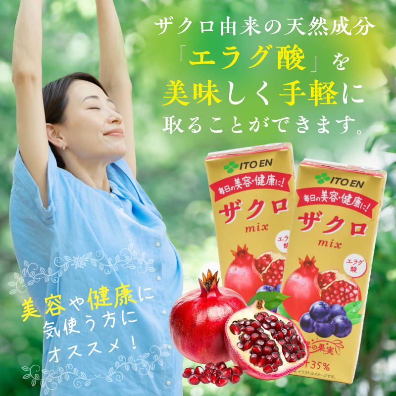 【10営業日以内発送】伊藤園 ザクロmix 紙パック 200ml 24本  スピード発送　013-G-IT009