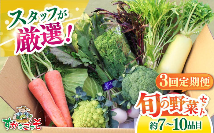 
【全3回定期便】よこすか野菜セット すかなボックス 【JAよこすか葉山】 [AKFO007]
