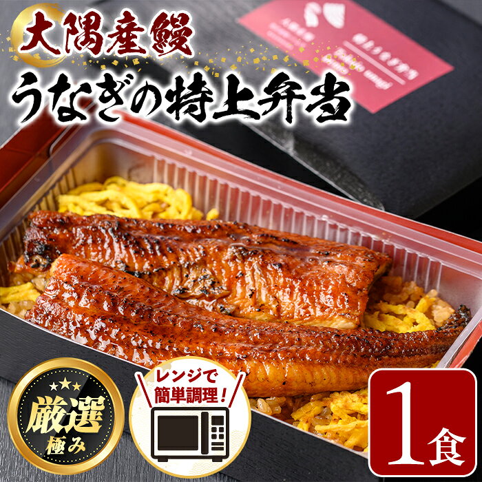 【ふるさと納税】＜おためし＞大隅産鰻の特上冷凍弁当(冷凍品)(1食分・計340g タレ、山椒付) うなぎ 高級 ウナギ 鰻 うなぎの蒲焼 蒲焼 国産 ごはん ご飯 お米 おかず 鹿児島 ふるさと レンチン 電子レンジ 【南嘉起屋】