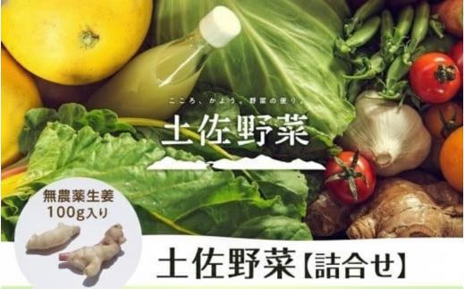 【土佐野菜】野菜の詰め合わせと無農薬生姜100g付き | 野菜セット セット しょうが 生姜 新鮮 野菜 人気 おすすめ 季節の野菜 高知県 南国市