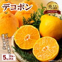 【ふるさと納税】デコポン 秀品 約 5kg 18 ～ 24玉 不知火 甘味 濃厚 ジューシー 甘い 果汁 大きい果肉 薄皮 高品質 糖度 13度以上 柑橘 フルーツ 果物 食品 国産 有田産 和歌山県 湯浅町 マルナガ お取り寄せ 送料無料