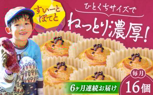 【全6回定期便】ねっとり濃厚！ひとくちサイズの スイートポテト 16個セット さつまいも 芋 スイーツ お菓子 ギフト 広島 江田島市/峰商事合同会社[XAD061]