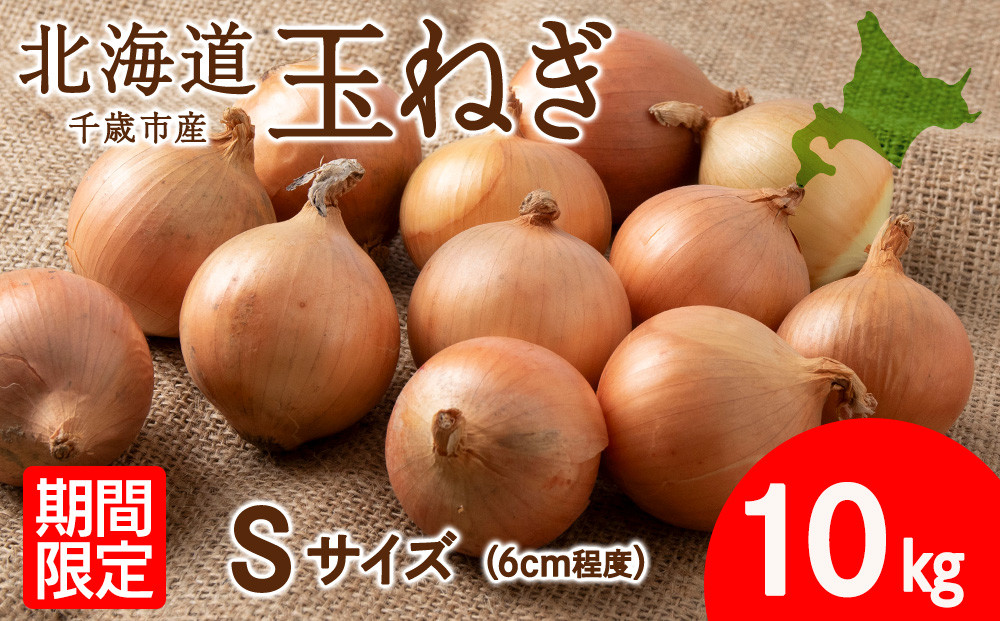 
玉ねぎ 10kg Sサイズ 北海道 千歳市産 甘い たまねぎ 野菜 冷蔵 タマネギ 【假屋フードブリッジ】
