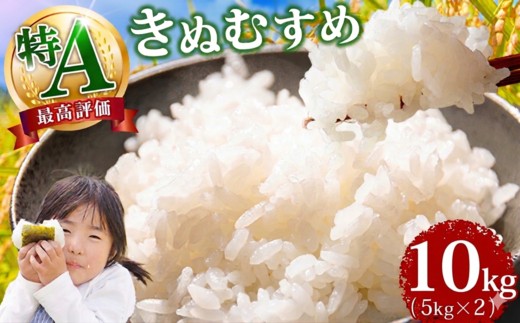 岡山県産  特A「 きぬむすめ 」10kg 令和7年産 　9月発送