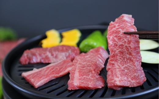 但馬牛 焼肉 食べ比べ五種盛 合計500g（イチボ100g ランプ100g ヒウチ100g シンタマ100g バラ100g）冷凍　発送目安：貴重な部位のためお届けに1〜2か月要する場合があります  0