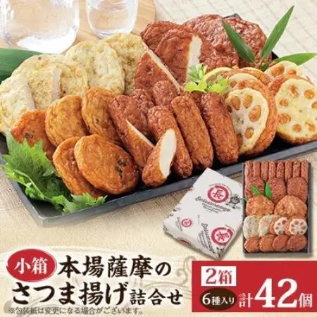本場さつま揚げ 詰め合わせ【6種類×2箱(小箱)】 Z0-66【配送不可地域：離島】【1742647】