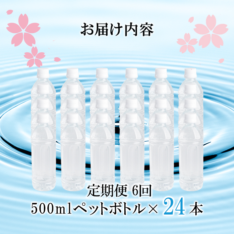 【桜屋】6回定期 シリカ天然水 「サクラシリカ」 500ml 24本 6回 計144本 シリカ含有量99mg/L シリカ水 ラベルレス 水 ミネラルウォーター 飲料水 飲料 ペットボトル ナチュラルウォーター サルフェート 炭酸水素イオン ミネラル 国産 阿蘇 小国郷