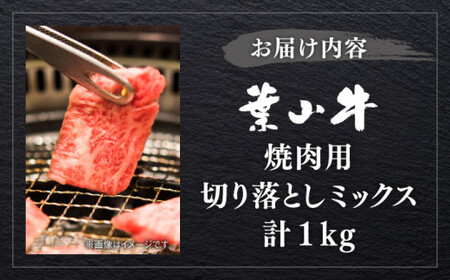【葉山牛】1kg　焼肉用ミックス（ロース、モモ、カルビ等 4種類)  ／ 焼肉 和牛 牛肉 焼き肉 【葉山牛ステーキレストラン 角車】[ASBD013]