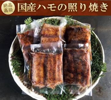 鱧の照り焼き（100g×5切れ）【冷凍】【A-44】