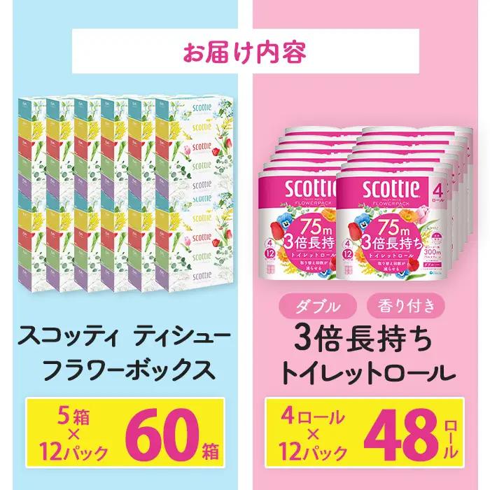 スコッティトイレットロール 48個 + ボックスティッシュ 60箱（トイレットペーパー ティッシュ）