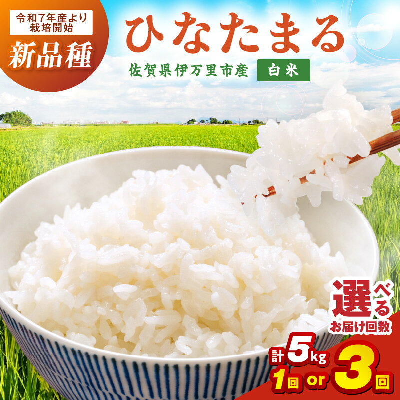 【ふるさと納税】伊万里産米 ひなたまる 白米 5kg ＜回数が選べる／1回・3回＞