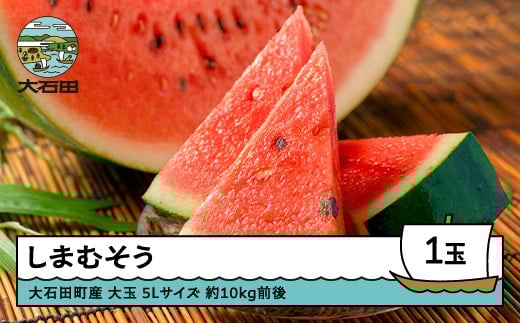 
            大玉すいか しまむそう 5Lサイズ×1玉 2025年産 令和7年産 山形県産 7月中旬から順次発送 gt-susmx5
          