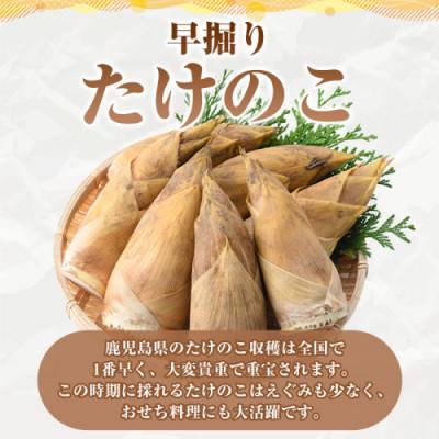 ふるさと納税 阿久根市 訳あり!鹿児島県産 早掘りたけのこ 約3kg 【松永青果】akn053-34 |  | 01