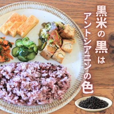 ふるさと納税 矢吹町 【令和6年産】開拓の町やぶきの古代米 5袋(1kg)セット(自然乾燥) |  | 01
