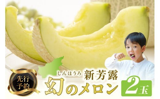 【先行予約】幻のメロン 新芳露 2玉（2026年7月下旬～発送）　国産 旬 メロン 希少メロン 先行予約 期間限定 フルーツ 贈答用 箱　BF00004