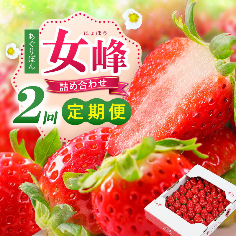 【ふるさと納税】あぐりぼん「女峰」詰め合わせ 2回定期便 いちご 果物 フルーツ 定期便 女峰 希少 デザート ストロベリー 果肉 スイーツ 甘い 国産 贈り物 贈答 プレゼント 人気 おすすめ 季節 旬 旬の果物 詰め合わせ 香川県 三木町 送料無料