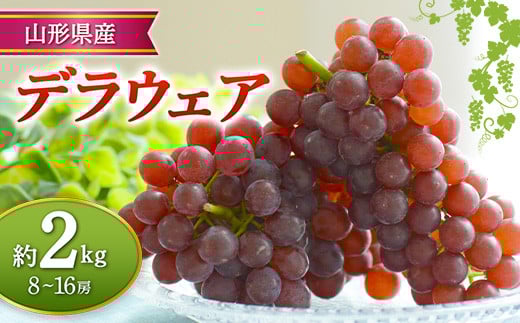 【先行予約 令和7年度発送】山形県産 デラウェア 約2kg FSY-0682