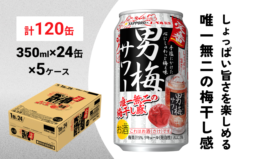 
サッポロ 男梅 サワー 350ml×120缶(5ケース分)同時お届け 缶 チューハイ 酎ハイ サワー
