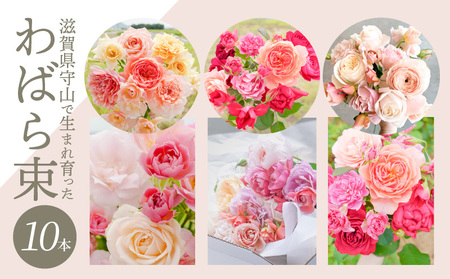 わばら束 10本 Rose Farm KEIJI　WABARA 和ばら バラ 花束 冷蔵 贈り物 Rose Universe AT-0004