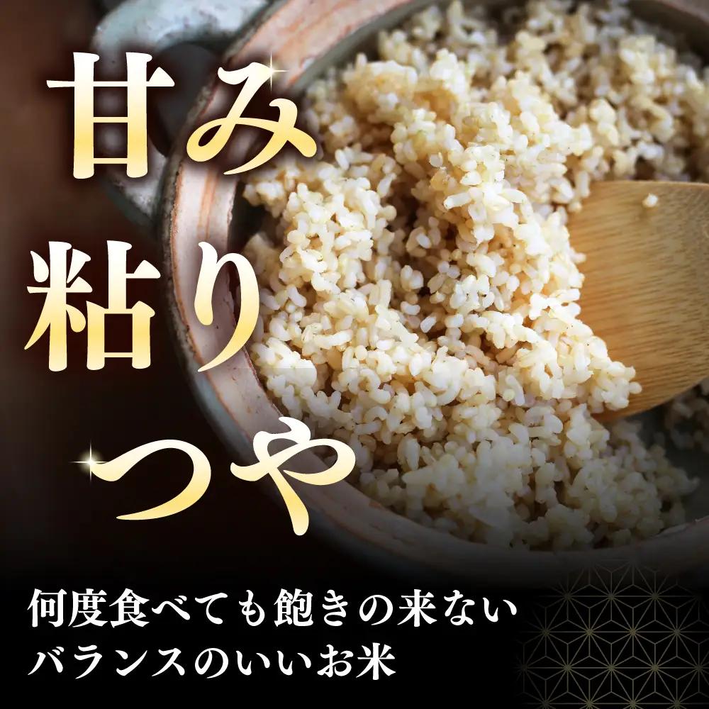 【令和7年産】 玄米 ななつぼし さくら米 10kg 玄米 [AXAB035]
