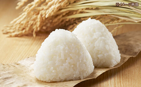 令和7年産 無洗米 高知県産ミルキークィーン 約2kg×6袋〈2025年8月から発送〉/ 米 無洗米 令和6年産米  [ATBL001]