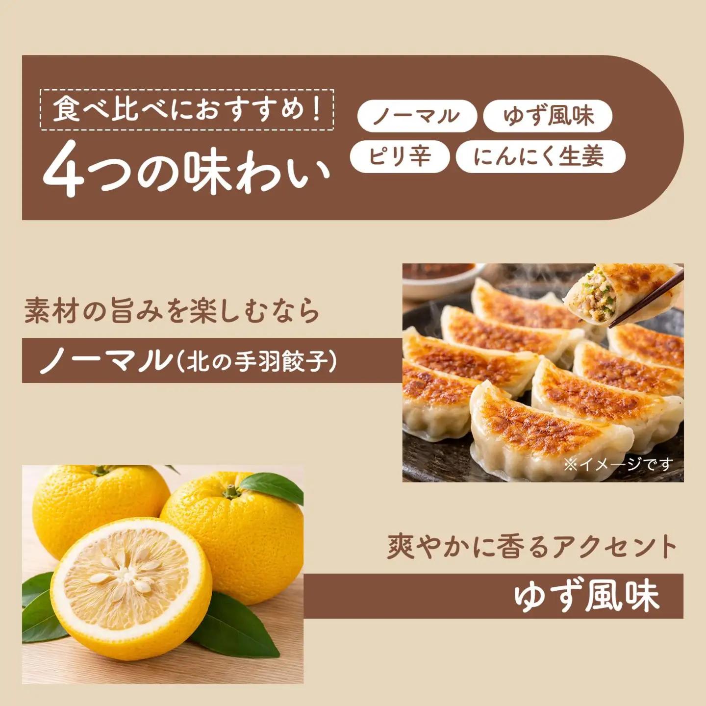北海道産鶏肉を使った手羽餃子【北の手羽ぎょうざ】20個セット(5個×4袋)≪配送地域限定≫【53102】