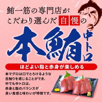 ふるさと納税 藤枝市 鮪専門商社が厳選!訳あり　本まぐろ　中トロ　400g |  | 01